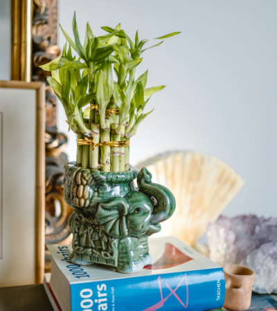 Những Lưu Ý Khi Trưng Bày Vật Phẩm Phong Thủy Trong Nhà 2025